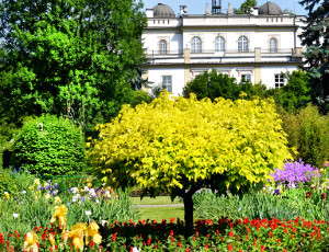 Botanic Garden of the Jagiellonian University