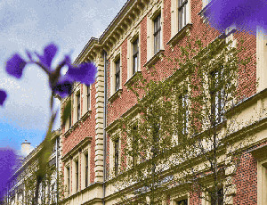 MedHotel